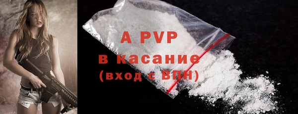 стаф Михайловск