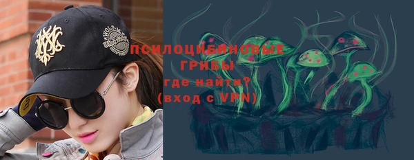 стаф Михайловск