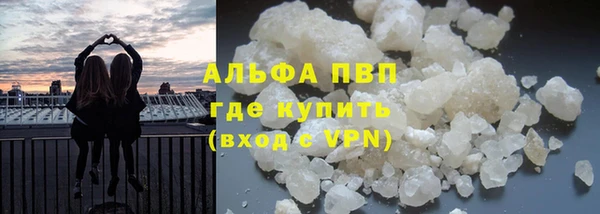 спиды Михайлов