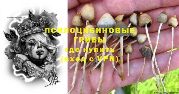 спиды Михайлов