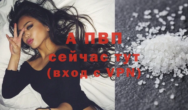 спиды Михайлов