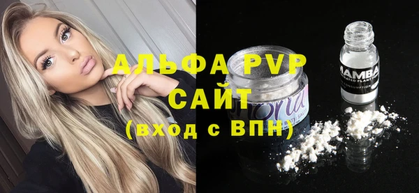 спиды Михайлов