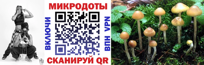 Купить  Яхрома  Галлюциногенные грибы Psilocybe 
